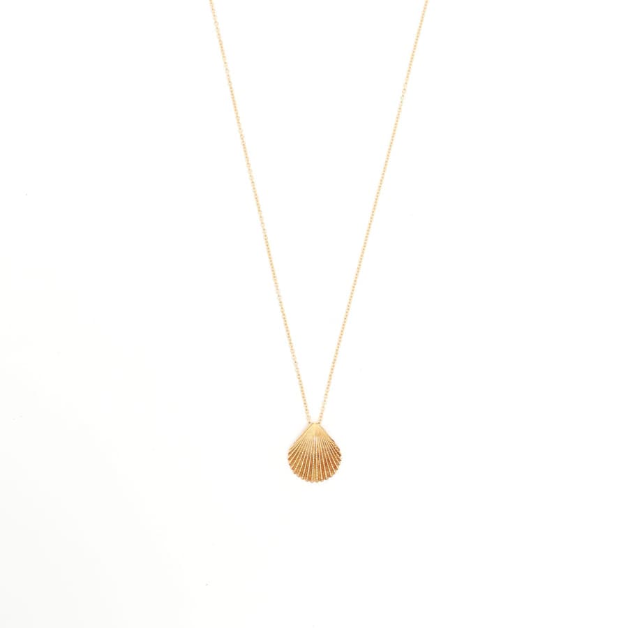 32472_5a3c404100_file-square