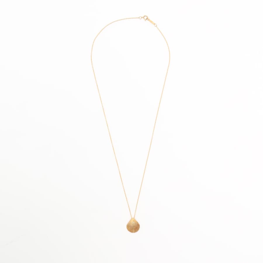 32472_d9121e79c8_file-square